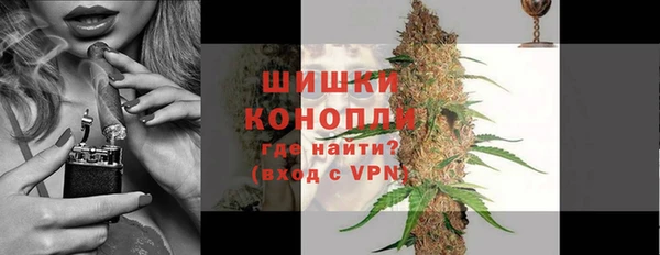 сатива Волосово