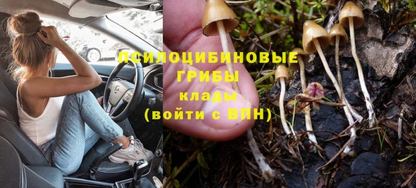 сатива Волосово