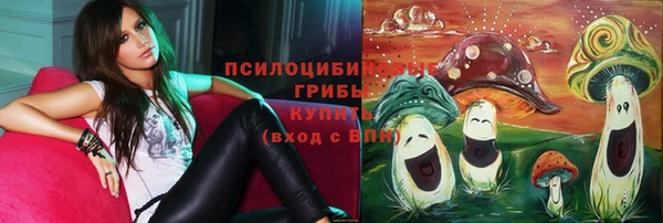 сатива Волосово